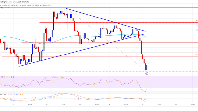 Ethereum Battle Persists: Will It Overcome The Struggles?