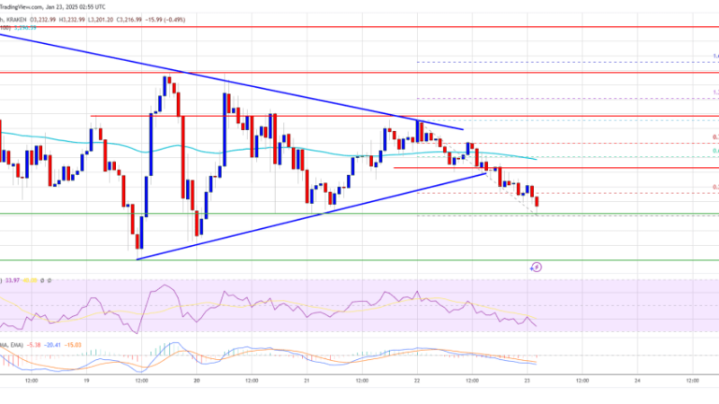 Ethereum Bears Emerge: Is a Deeper Pullback Coming?