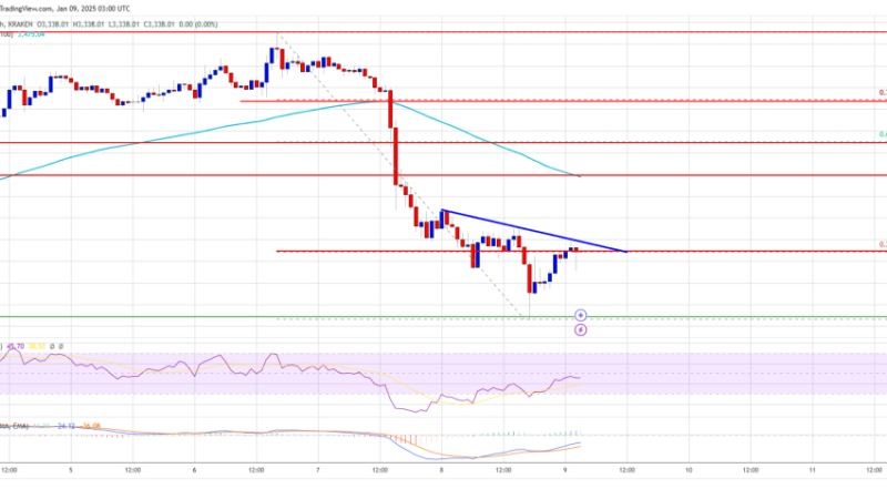 Ethereum Price at Risk: Could $3K Be Tested Soon?