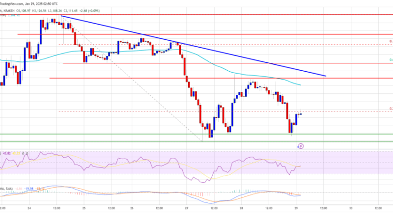 Ethereum Price Battle Persists: Can Bulls Turn It Around?