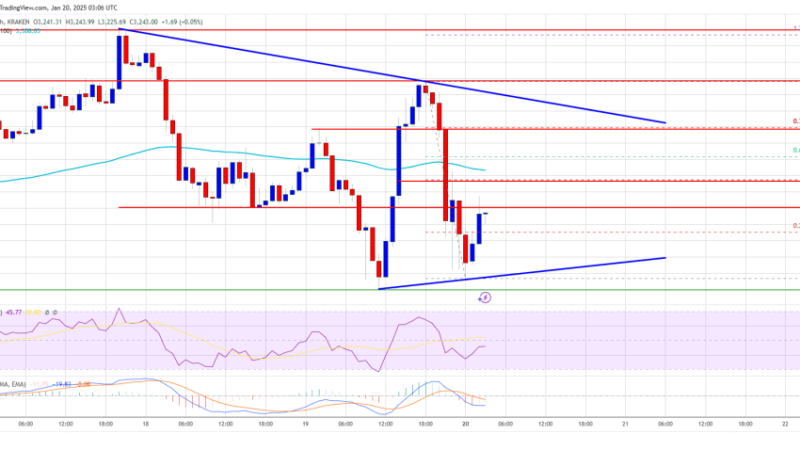 Ethereum Price Faces Another Rejection: Will Momentum Return?