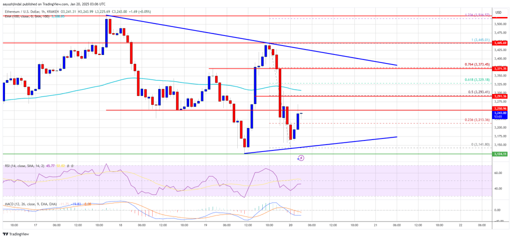 Ethereum Price Faces Another Rejection: Will Momentum Return?