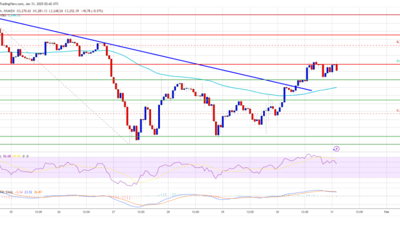 Ethereum Price Gains Traction: Can It Sustain the Climb?
