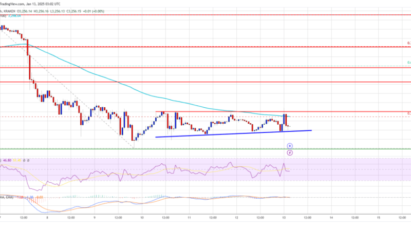 Ethereum Price Losses Steady: Is a Rebound Brewing?