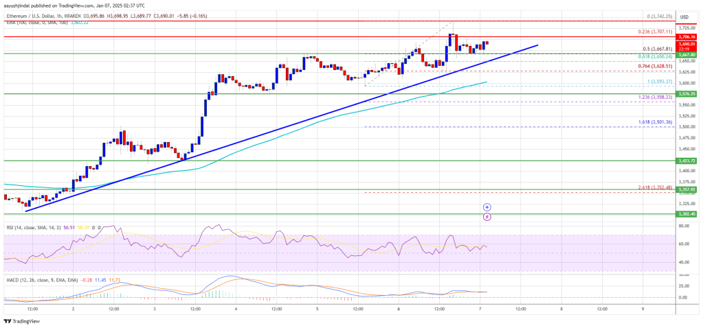 Ethereum Price Maintains Stability: Is a Move Higher Coming?