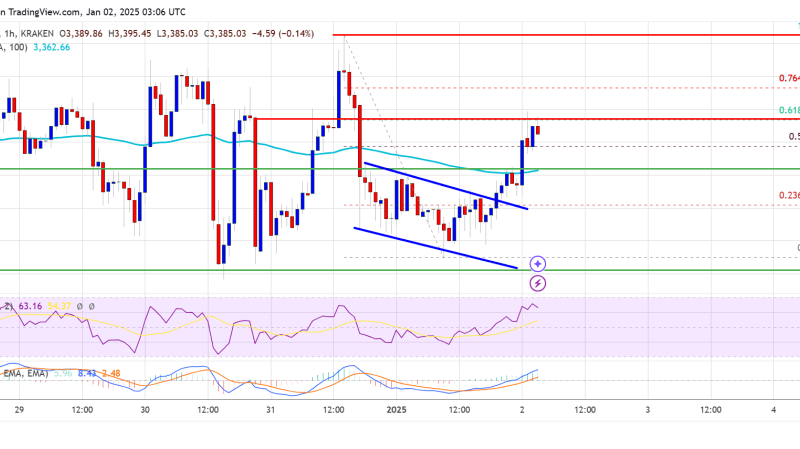 Ethereum Price Stays Resilient: A Gradual Increase in Sight?