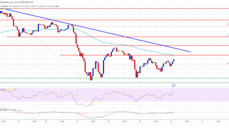 Ethereum Price Struggles Against Resistance: A Tough Road Ahead