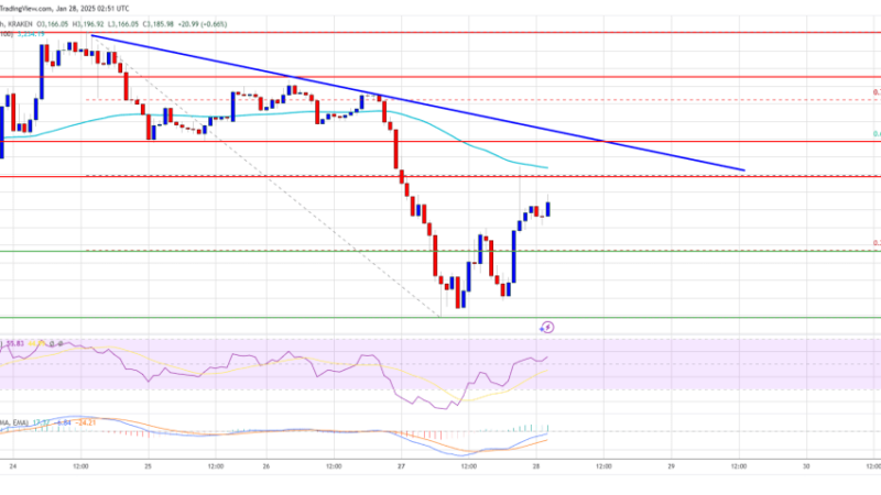 Ethereum Price Struggles Ahead: Key Hurdles Blocking Its Path?