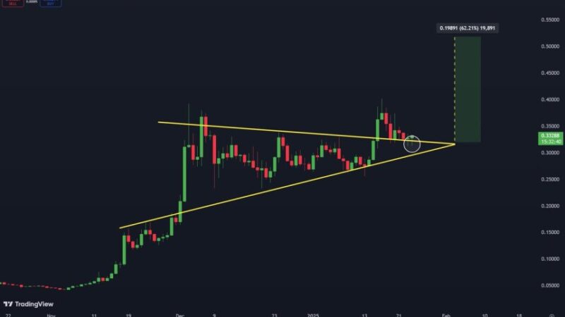 Hedera Successfully Retests Key Demand Level – Expert Says The Next Stop Could Be $0.52