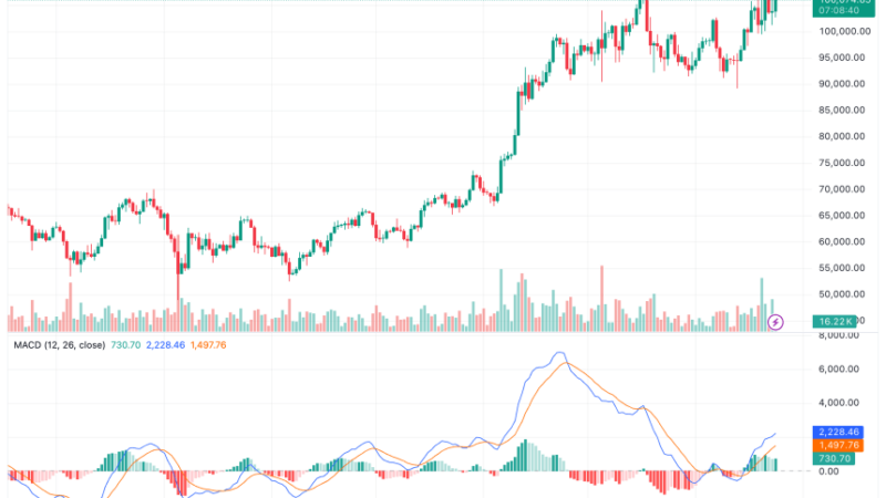 Inauguration Effect? Bitcoin Whales Start Accumulating As Trump Era Begins