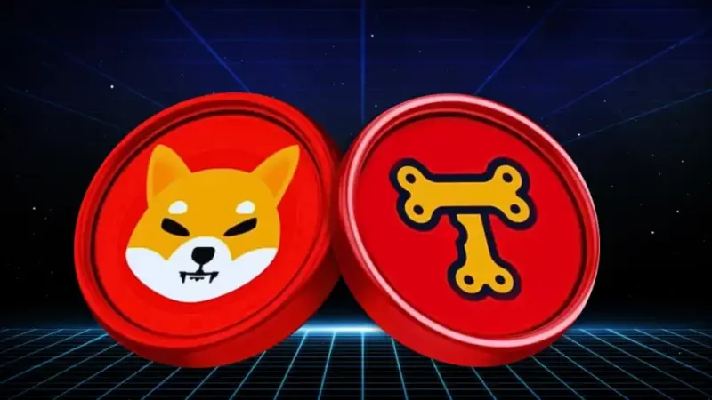 Is Shiba Inu Forgetting About BONE?