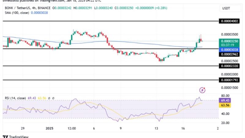 Meme Coin BONK Faces Price Correction: Can Bulls Regain Control?