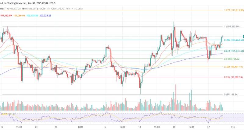 No More Bitcoin Bear Markets Ever? Fund CIO Explores New Market Reality