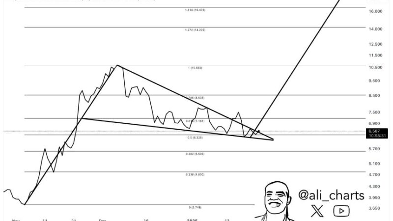 Polkadot (DOT) Breakout Looms With $17 Target In Sight – Details