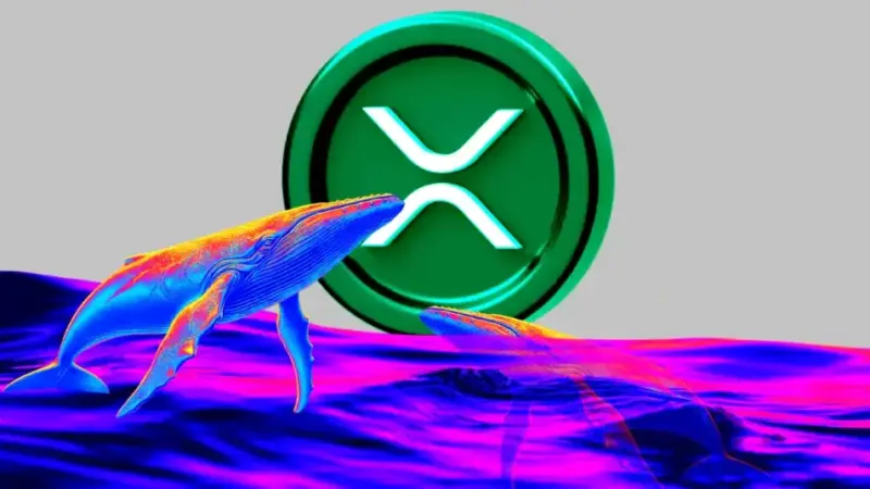 Ripple Chairman Chris Larson Moves 20M XRP: What’s Behind the Transfer?