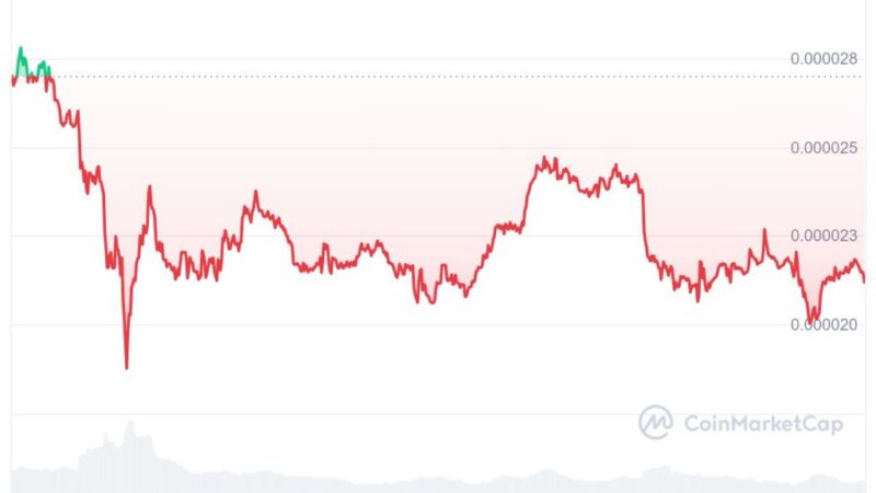 SHIB koers riskeert 21% crash door afname netwerkactiviteit – welke meme crypto nu kopen?