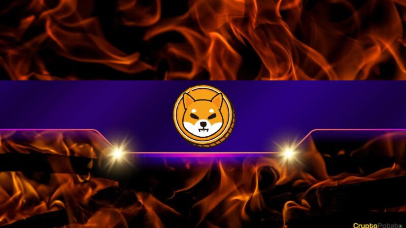 Shiba Inu Burn Rate Explodes by Over 7,000%: Is the SHIB Price Ready to Take off?
