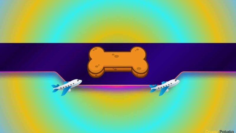 Shiba Inu Unveils a Special Airdrop Ahead of TREAT’s Launch: Details