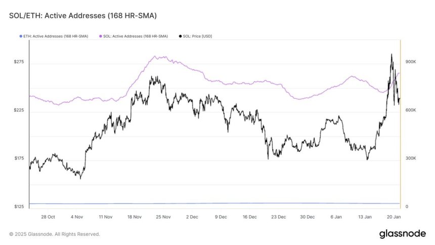 Solana Active Addresses Surge To 832K Per Hour Outpacing Ethereum Amid TRUMP Meme Coin Hype