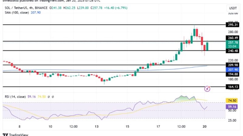 Solana Bulls Counter Bearish Pressure To Keep Price Above $240