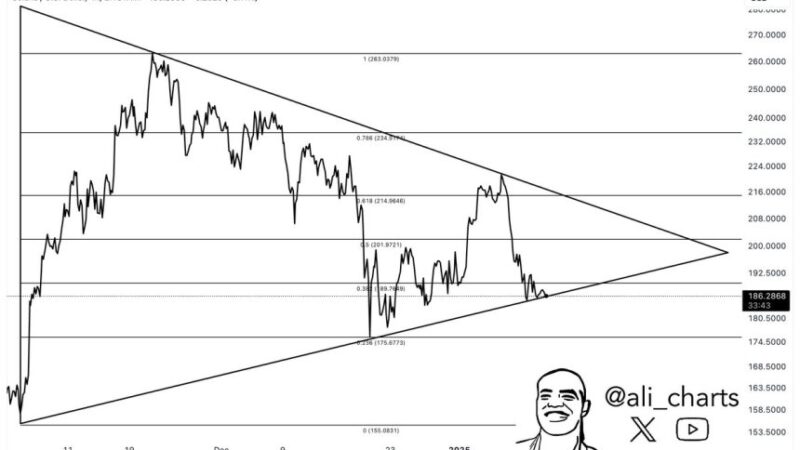 Solana Consolidates In A Bullish Pattern – A Breakout ‘Could Spark A 40% Move’