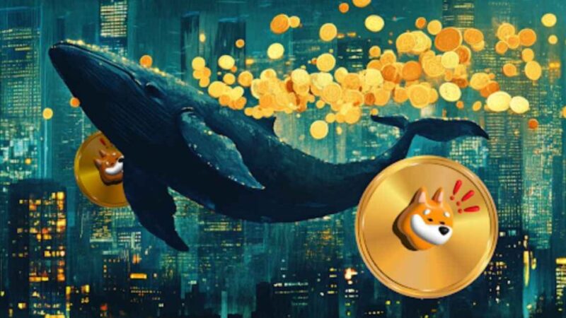 Solana Meme Coins Bonk And Dogwifhat Continue To Slide; Money Is Rotating To Remittix