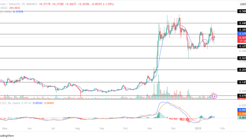 Top 3 Meme Coins for a 20% Weekly Profit As the Market Turns Greedy?