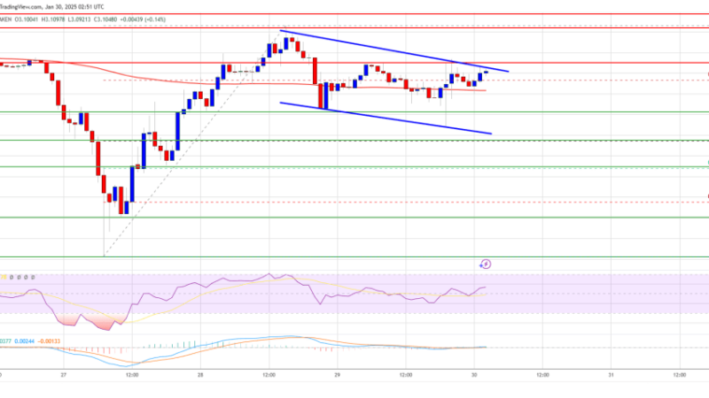 XRP Price Bulls Stay In Control: Uptrend Poised to Continue