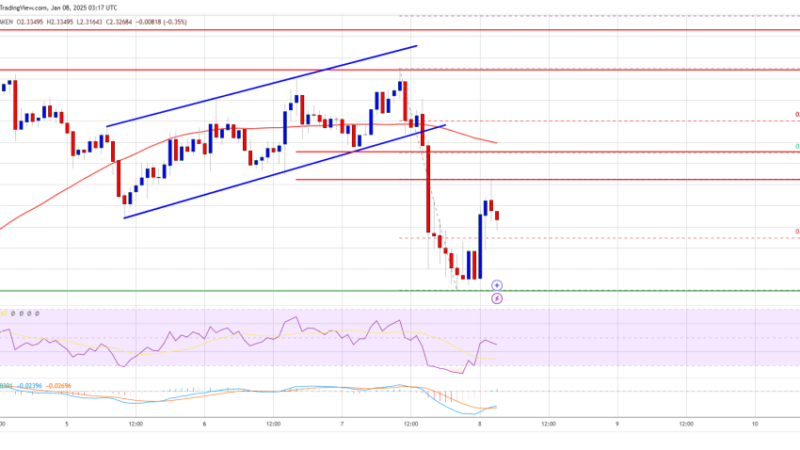 XRP Price Corrects: Limited Downside Keeps Bulls Optimistic