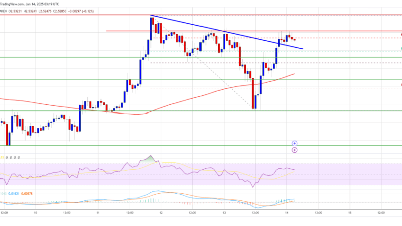 XRP Price Dominates: Outperforming Bitcoin With Confidence