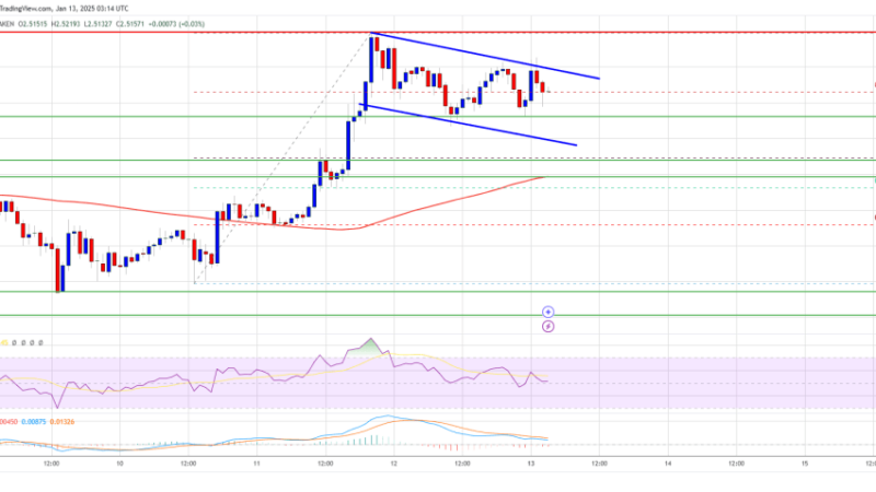 XRP Price Gears Up: Is a Fresh Rally on the Horizon?