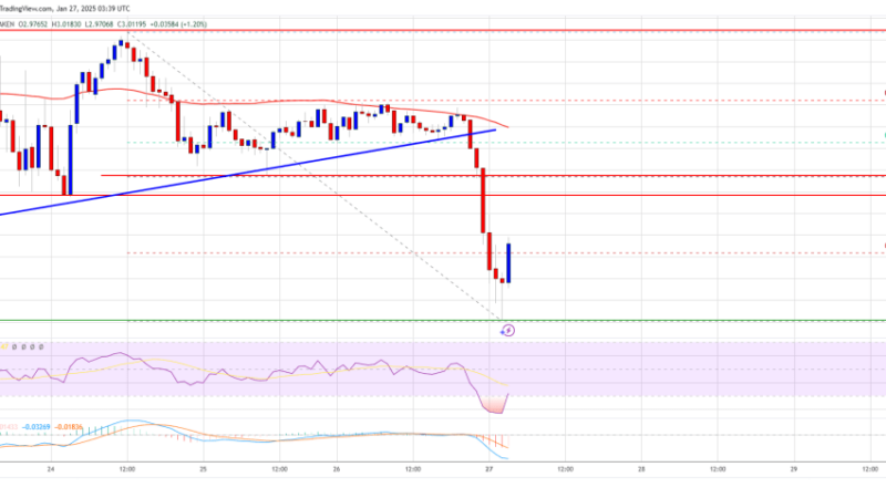 XRP Price Sees a Bearish Shift: Key Levels to Watch