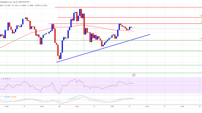 XRP Price Sets the Stage for More Gains: Bulls Hold the Momentum