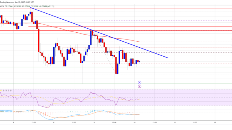 XRP Price Stays Steady: Will Consolidation End Soon?