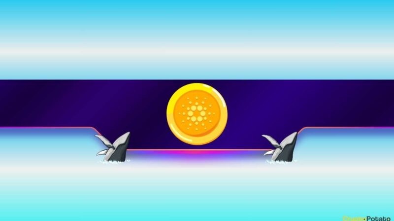 Are Cardano Bulls in Trouble? Whales Unload Millions Worth of ADA