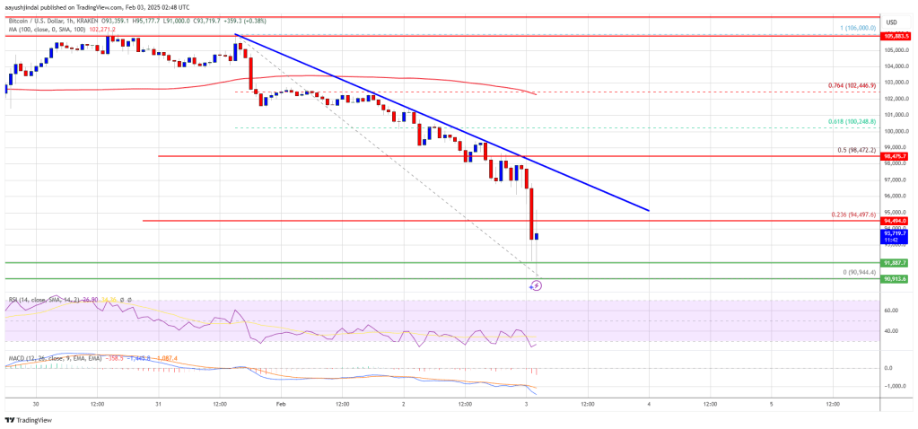 Bitcoin Price Nosedives Nearly 10%: Panic or Buying Opportunity?
