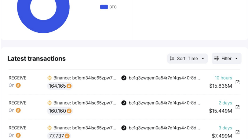 Bitcoin Whales Accumulate—Will This Push BTC Toward $100K?