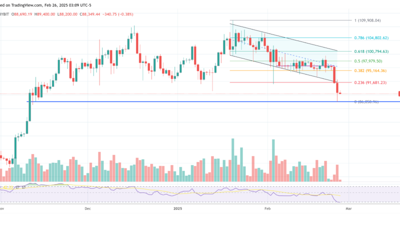 Bitwise CIO: Crypto Looks Like July 2024—Here’s What Happened Next