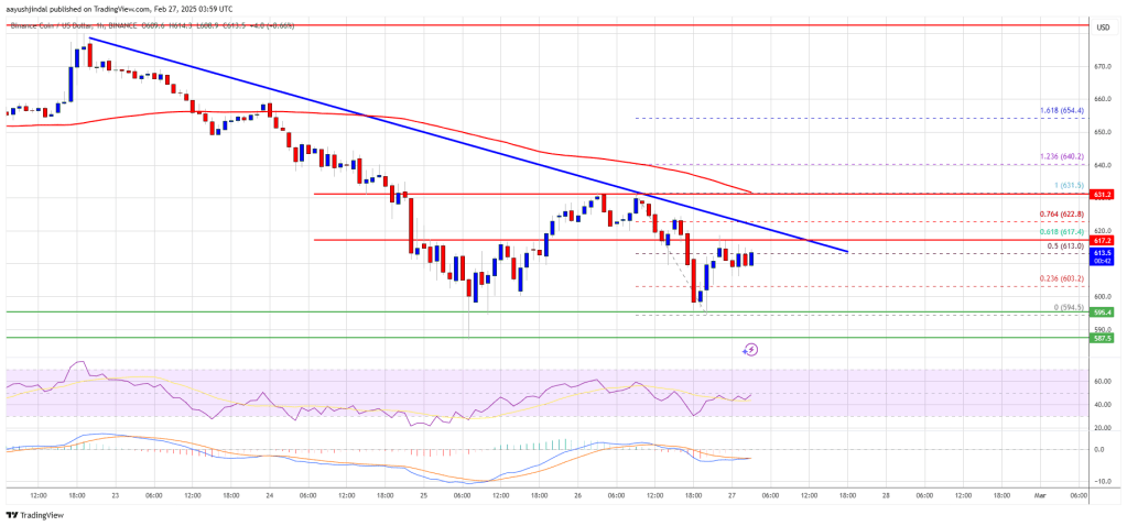 BNB Price Shows Strength—Is a Comeback in Play?