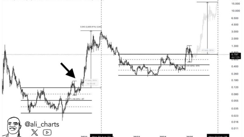 Cardano Echoes 2020-2021 Pattern – Is A Parabolic Rally On The Horizon?