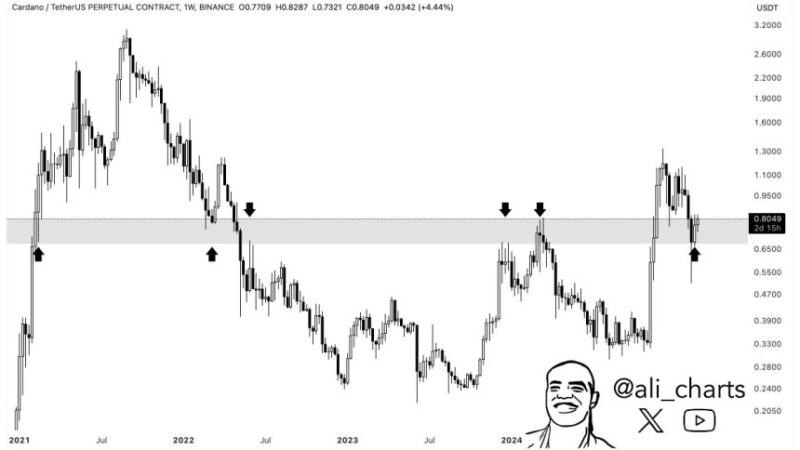 Cardano Must Hold Critical Support Around $0.67 To Sustain Bull Run – Details