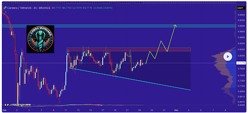 Cardano Price Prediction: Analyst Says $0.8 Might Not Come Again If This Wedge Breaks Out