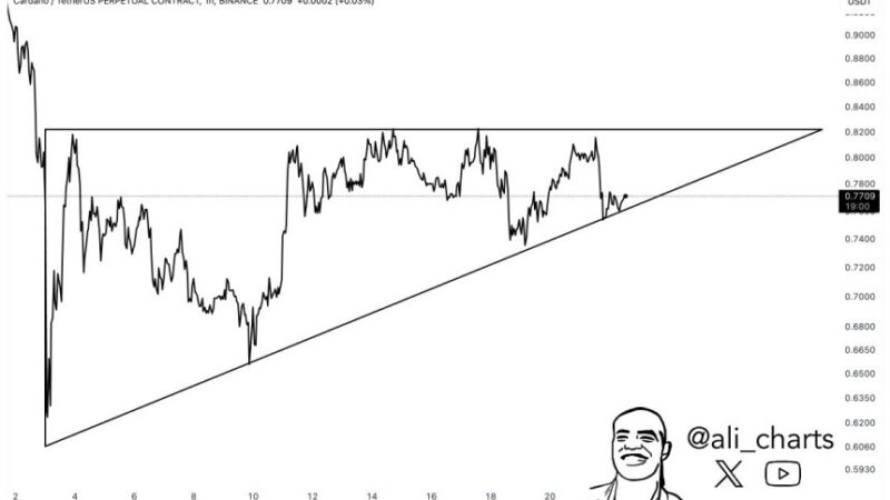 Cardano Remains In Consolidation – Expert Projects 25% Price Move