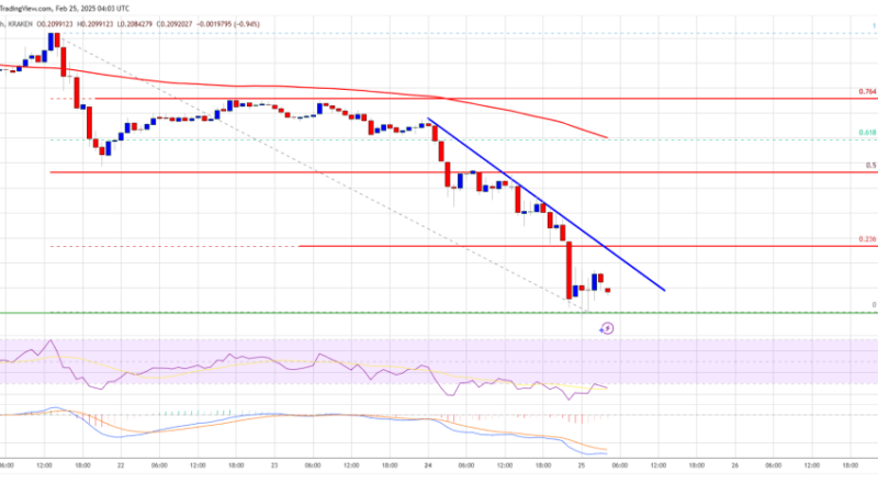 Dogecoin (DOGE) Nosedives Toward $0.20—More Pain Ahead?