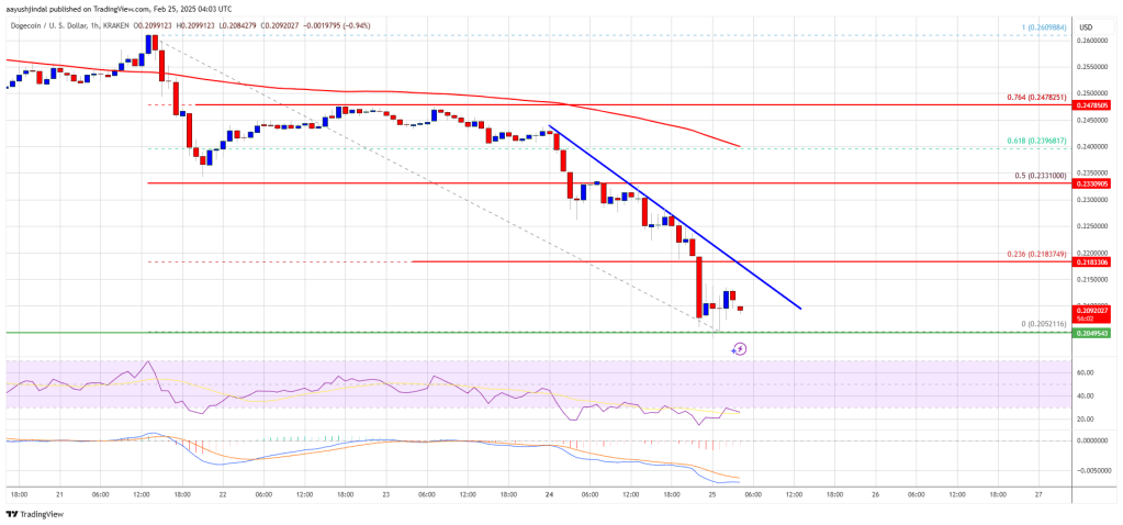 Dogecoin (DOGE) Nosedives Toward $0.20—More Pain Ahead?