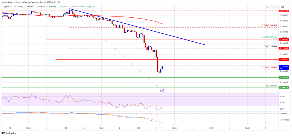 Dogecoin (DOGE) Plunges to $0.20: Is This the Bottom or More Pain Ahead?
