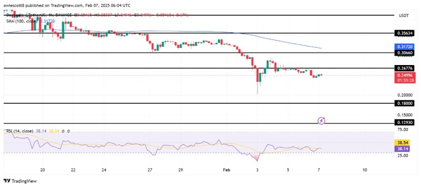Dogecoin Gains Momentum: A Potential Upside Move Toward $0.2677 Looming