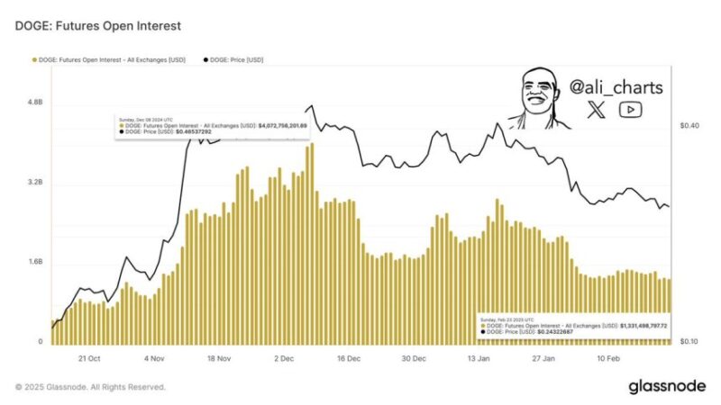 Dogecoin Open Interest Declines 67% In Three Months – Can Meme Coins Recover?