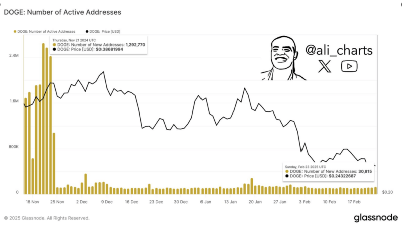 Dogecoin Sees 95% Drop In Network Activity—Trouble Ahead?