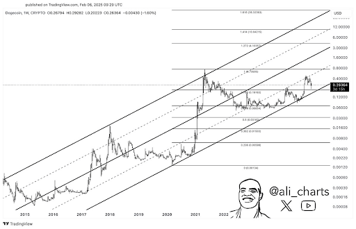 Dogecoin Starts Out February with 23% Crash, What Does Historical Data Point To?